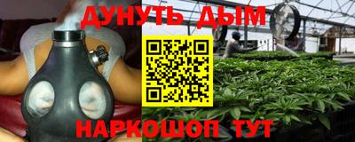 прущие грибы Гусев