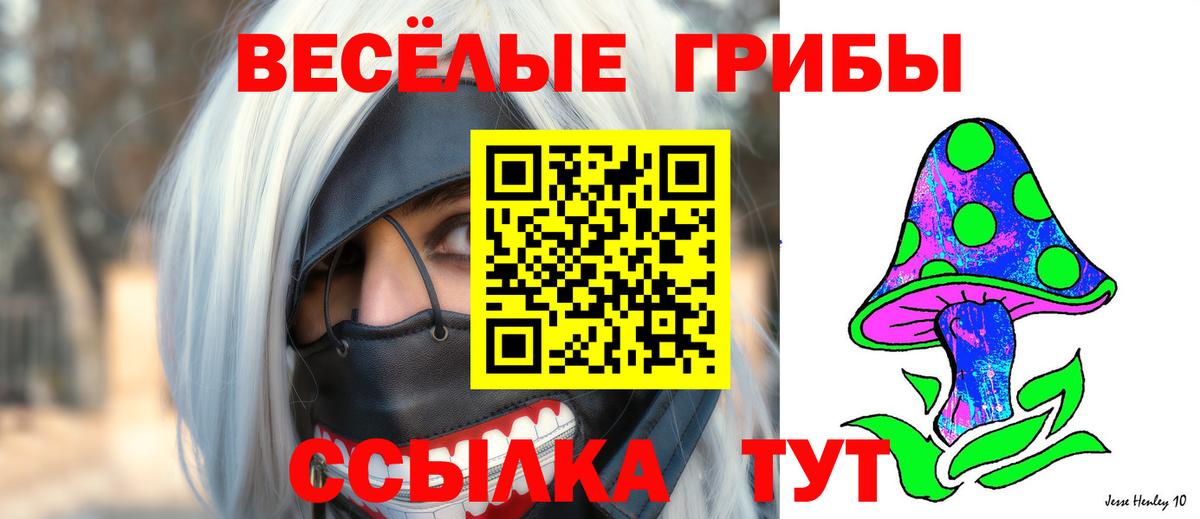 Назрань  Псилоцибиновые грибы мицелий  Вход с VPN 